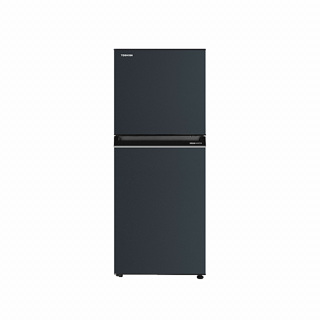 Toshiba Refrigerator (Inverter,Double door,194L)