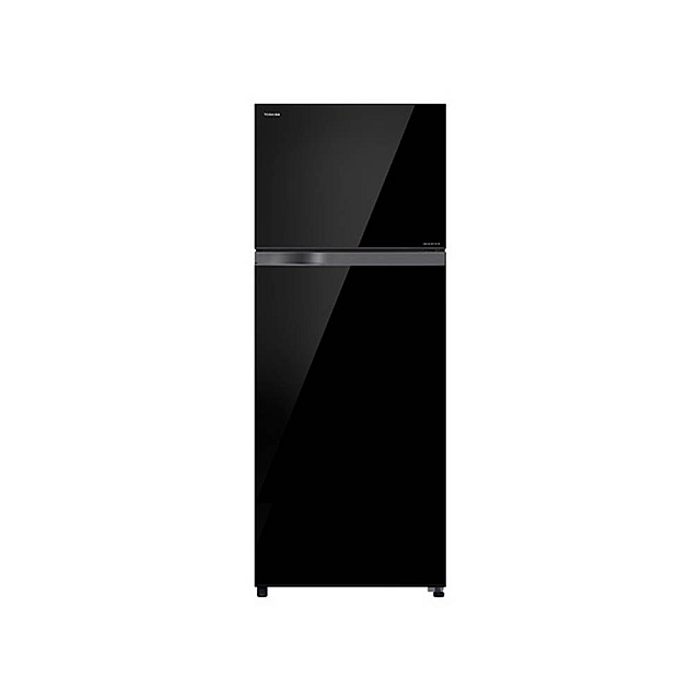 Toshiba Refrigerator (Inverter,Double door,233L)