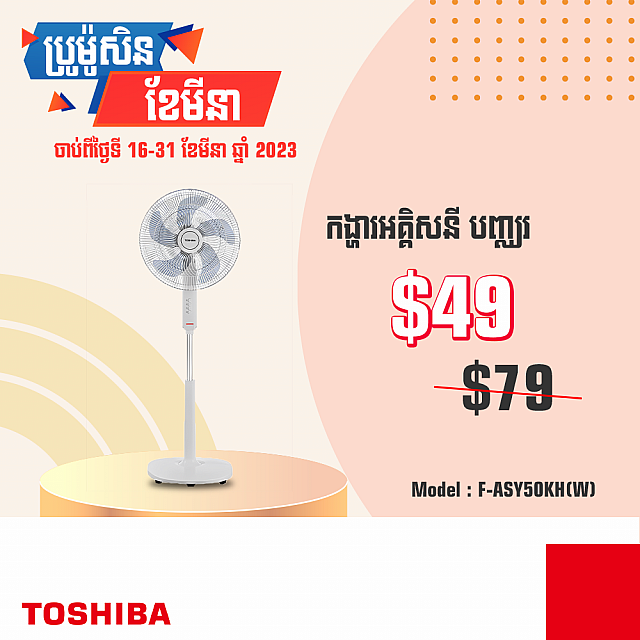 Toshiba Electrical Fan 