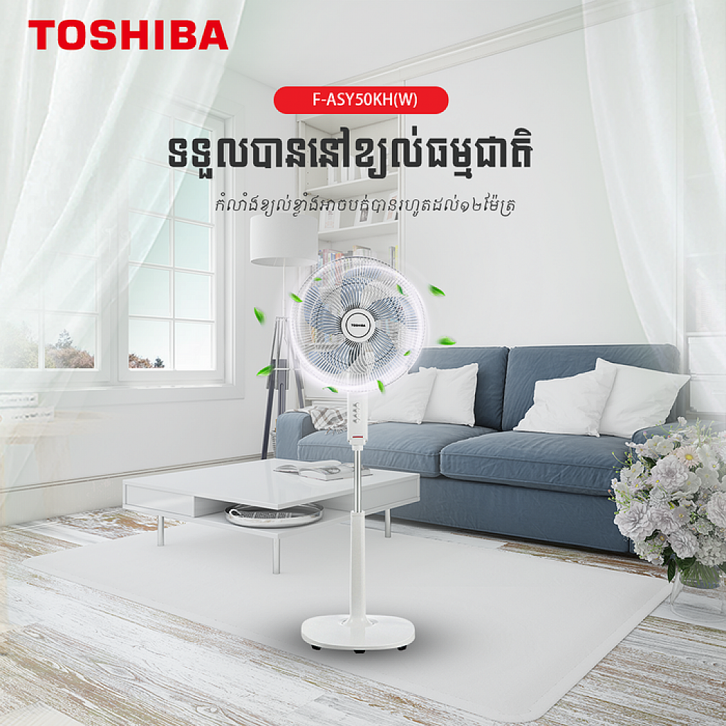 Toshiba Electric  Fan (16)