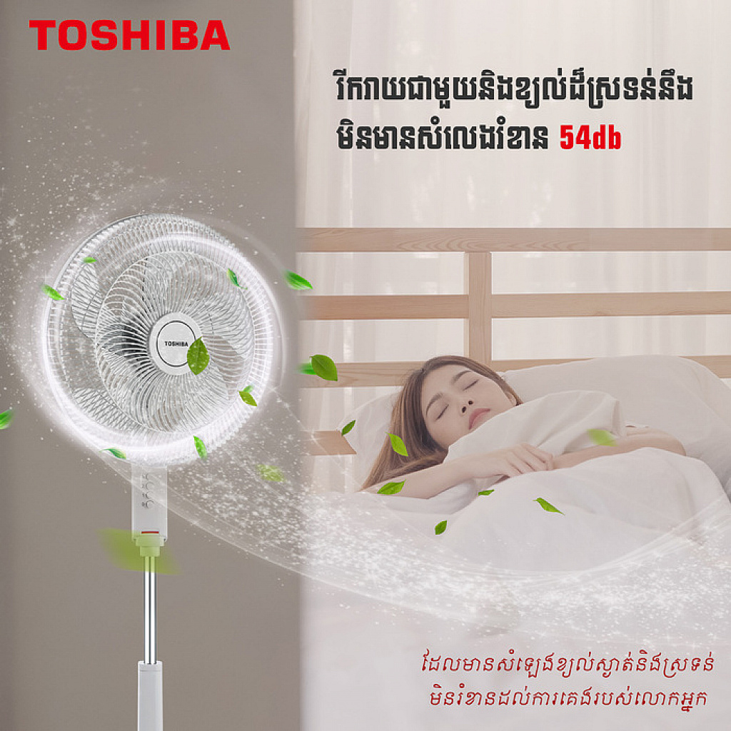 Toshiba Electric  Fan (16)