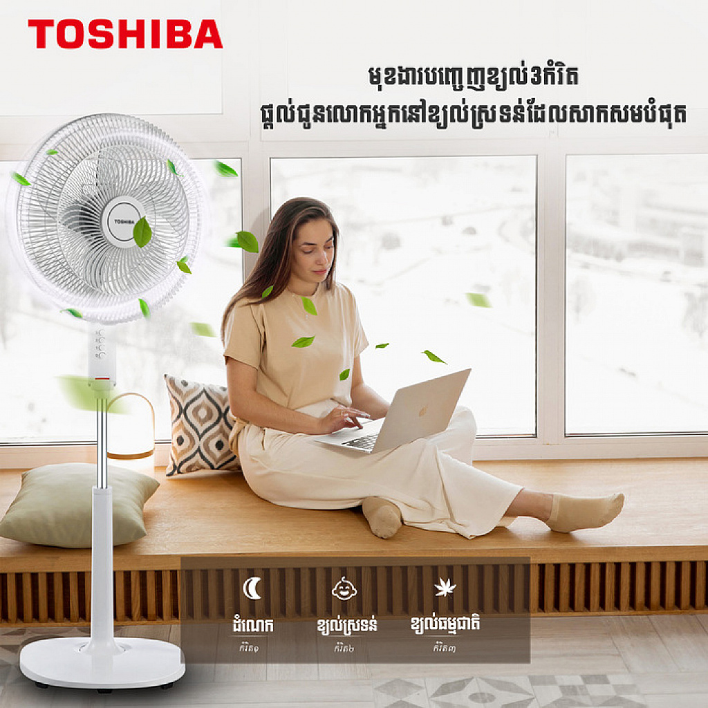 Toshiba Electric  Fan (16)