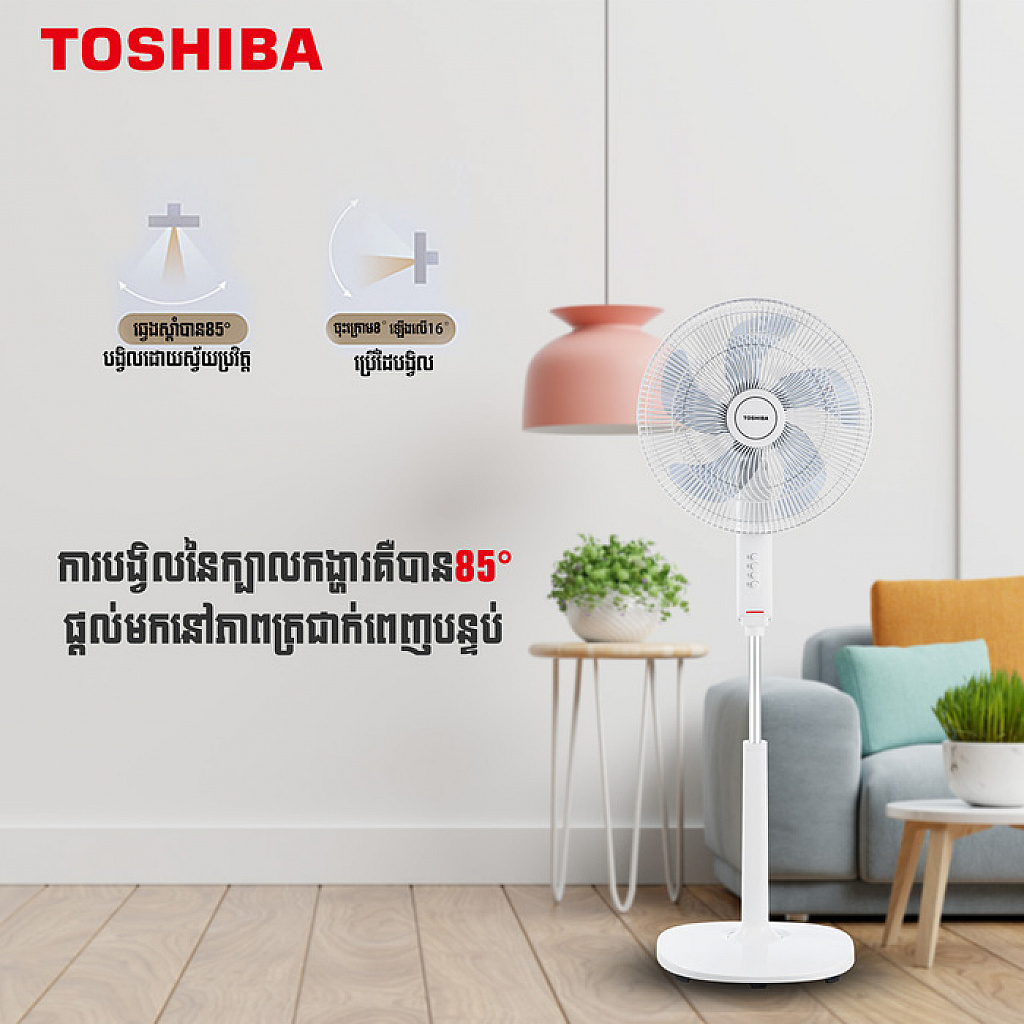 Toshiba Electric  Fan (16)