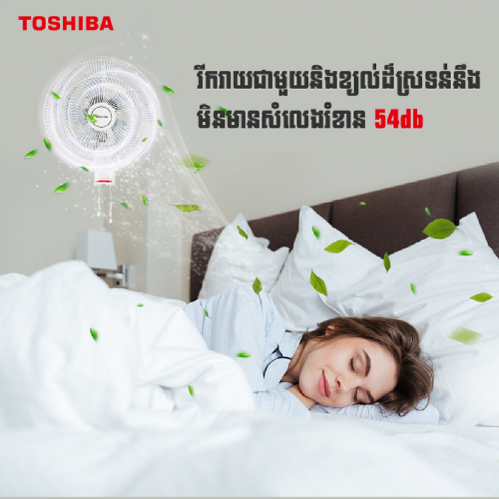 Toshiba Electric  Fan (16