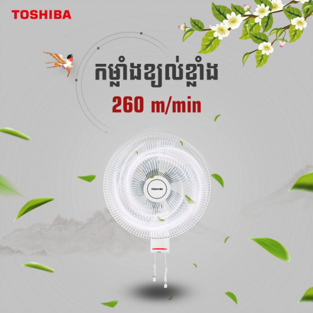 Toshiba Electric  Fan (16