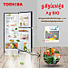 Toshiba Refrigerator (Inverter,Double door,234L,Black)