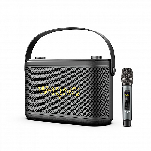 W-King H10s (80Watts small portable karaoke speaker)