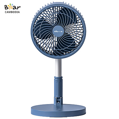 Folding Fan 