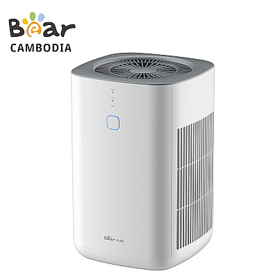 Bear Air Purifier