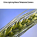 Huawei Pura 70 (12+256GB)