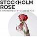 STOCKHOLM ROSE NOURISHING HAND CREAM