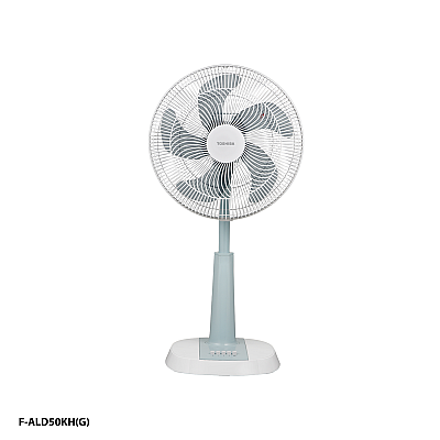 Toshiba Electric Fan 16