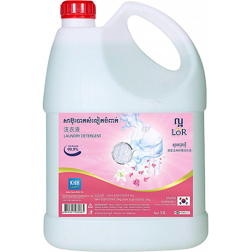 Lor Laudry Detergent Buy 1 Free  2 ( Lor-Hand Wash 320ml 2)